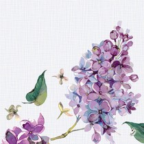 Ubrousek Sweet Butterfly Lilac Dunisoft® 12 ks, 40 cm x 40 cm 